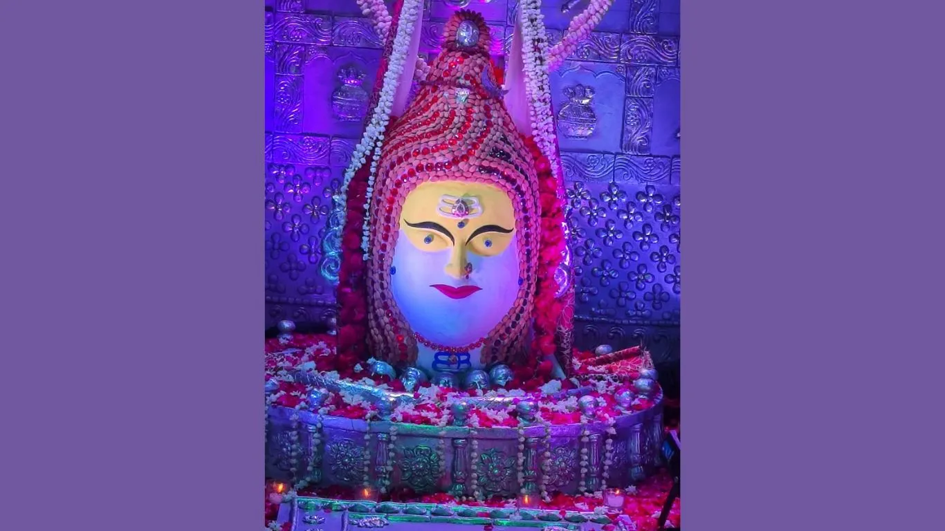 Ramnagar News: अर्धनारीश्वर रूपी महाकाल के दर्शन के लिए उमड़ा भक्तों का सैलाब