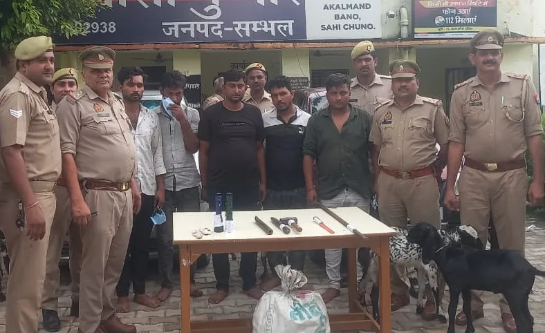 संभल: बकरी गिरोह के पांच सदस्य गिरफ्तार, दो कार और बकरियां बरामद