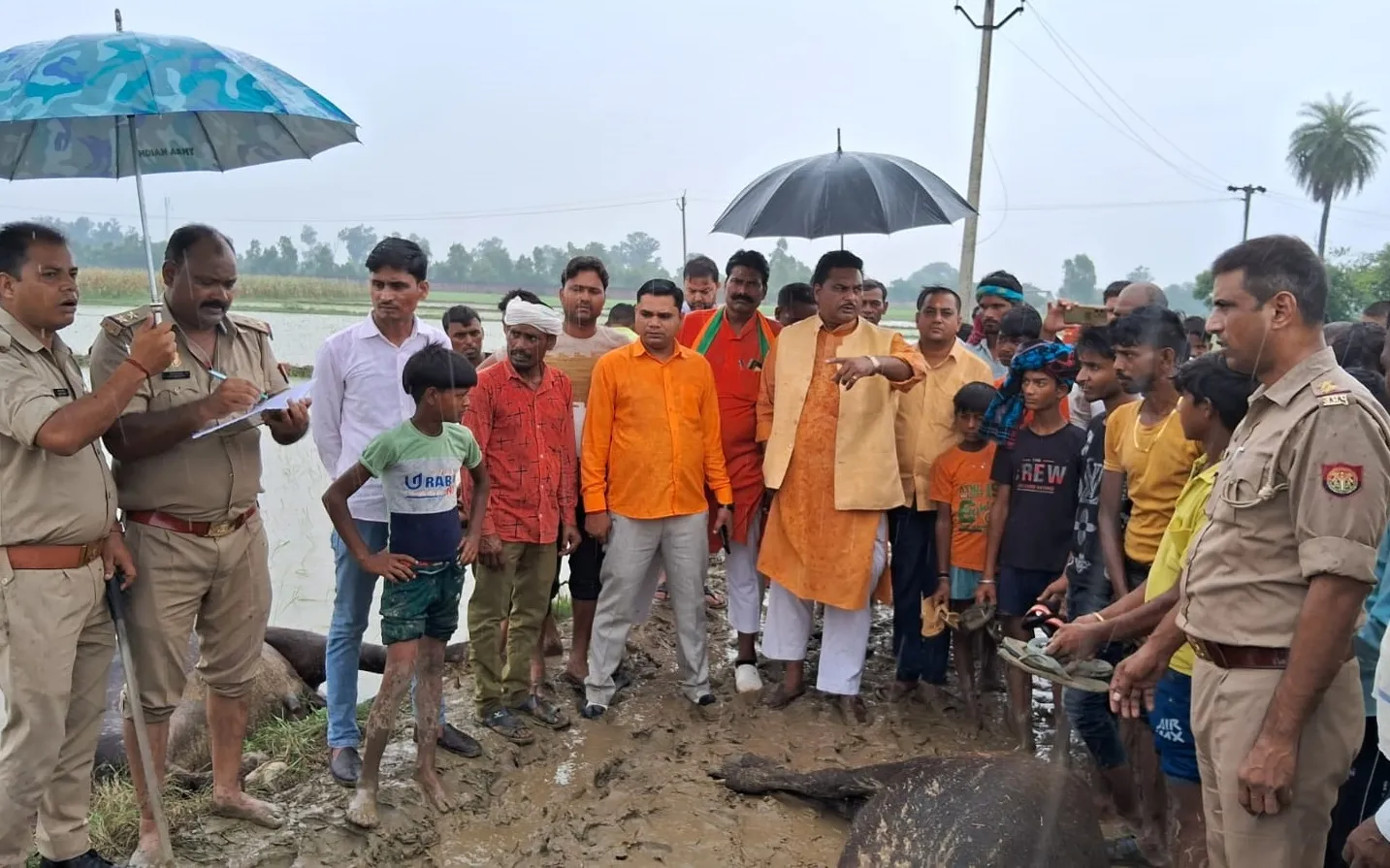 संभल: हाइटेंशन लाइन के करंट से मरे आठ पशु, ग्रामीणों ने किया हंगामा 