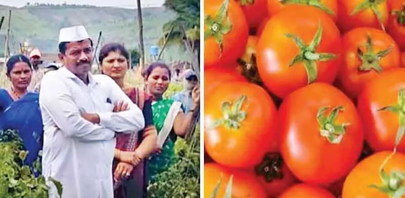 टमाटर के ऊंचे भाव ने पुणे के किसान को बनाया करोड़पति, एक महीने में कमाए तीन करोड़ 