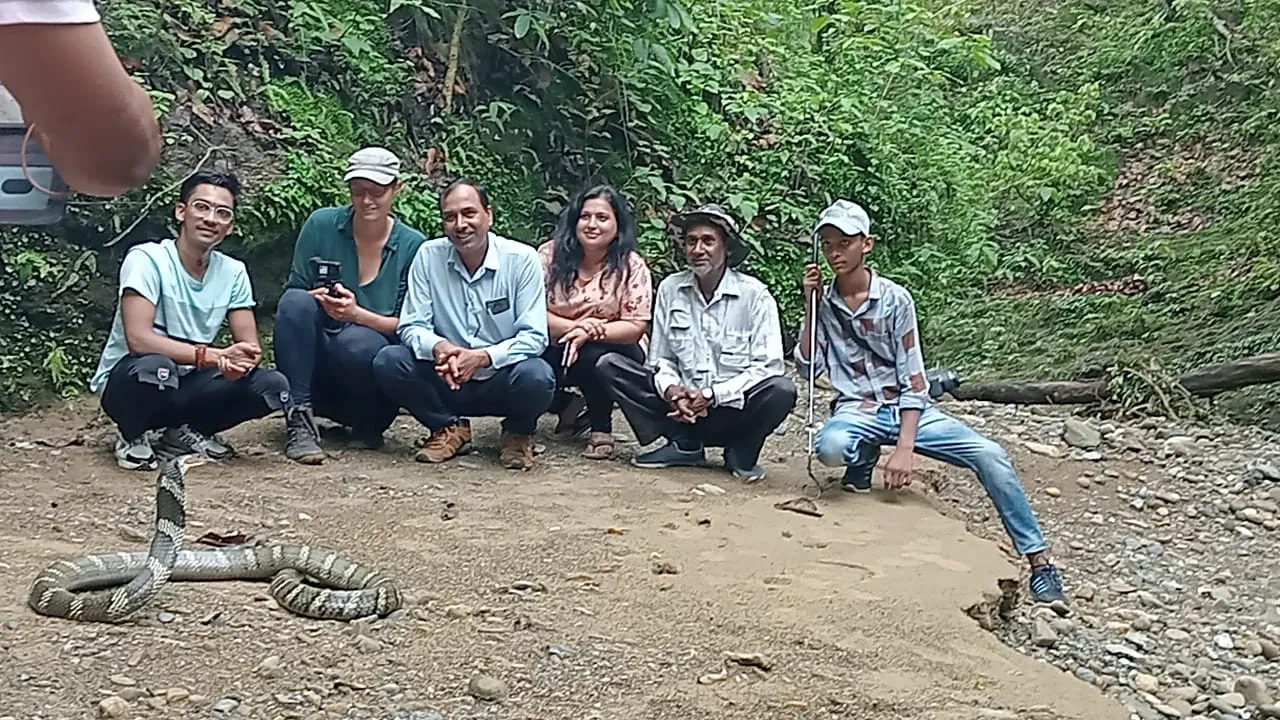 रामनगर: 13 फीट लम्बे किंग कोबरा समेत कई जहरीले सापं किए जंगल‌‌ में आजाद