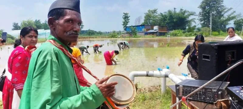 रामनगर: हुड़किया बौल यानी हुड़के की थाप हुई धान रोपाई 