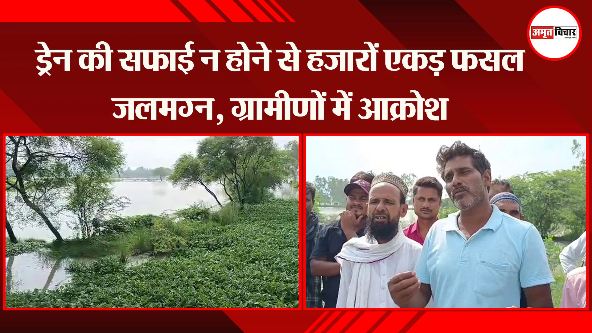 अमेठी: ड्रेन की सफाई न होने से हजारों एकड़ फसल जलमग्न, ग्रामीणों में आक्रोश