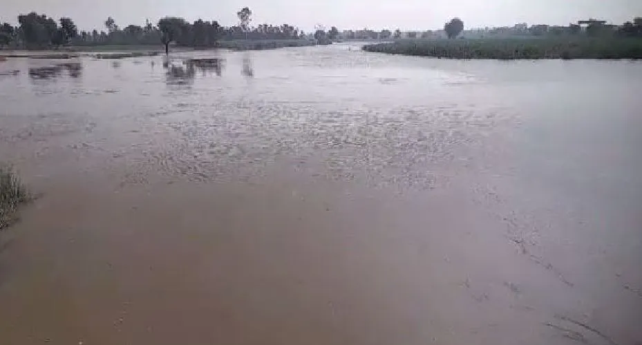 कासगंज: गंगा में पलटी बैलगाड़ी, महिला और चार बालिकाएं डूबी...एक की मौत