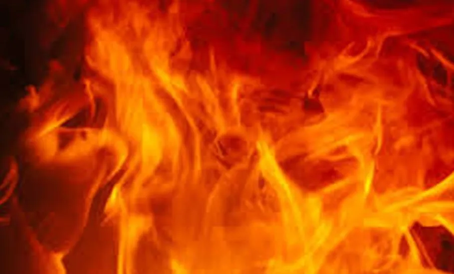 उज्बेकिस्तान में कराओके बार में आग लगने से 6 की मौत, 7 घायल