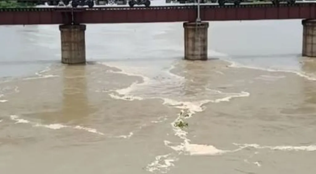बरेली: रामगंगा में युवक डूब रहा है, कुछ लोग टापू पर भी फंस गए हैं...बचा लीजिए