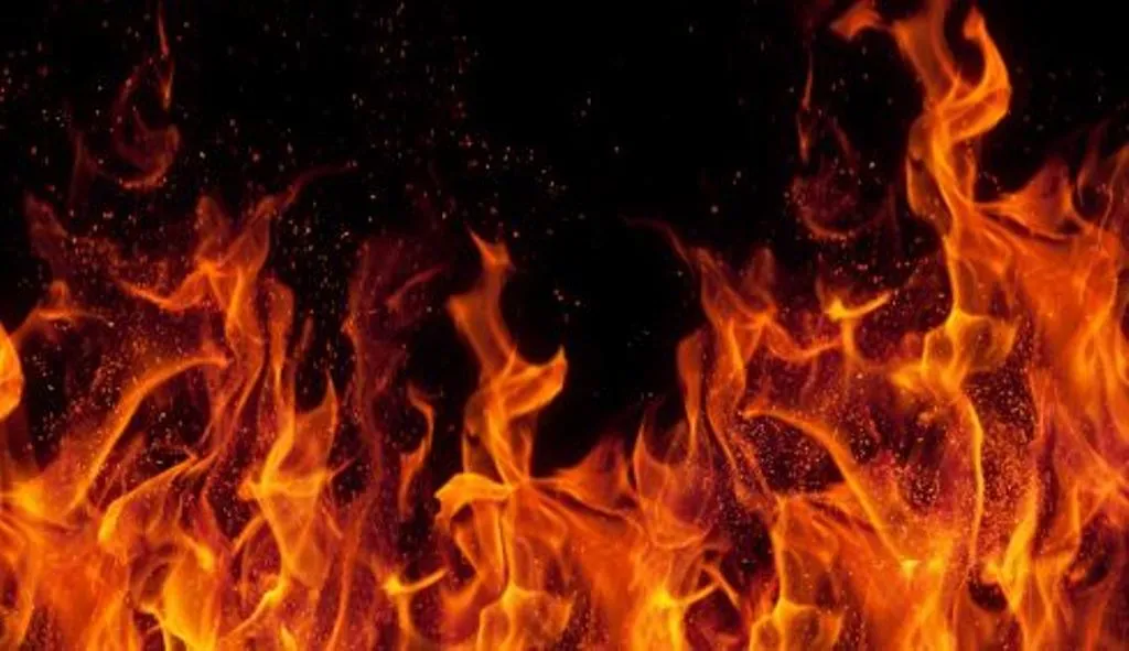 अहमदाबाद के एक अस्पताल में लगी आग, 100 मरीजों को सुरक्षित निकाला गया