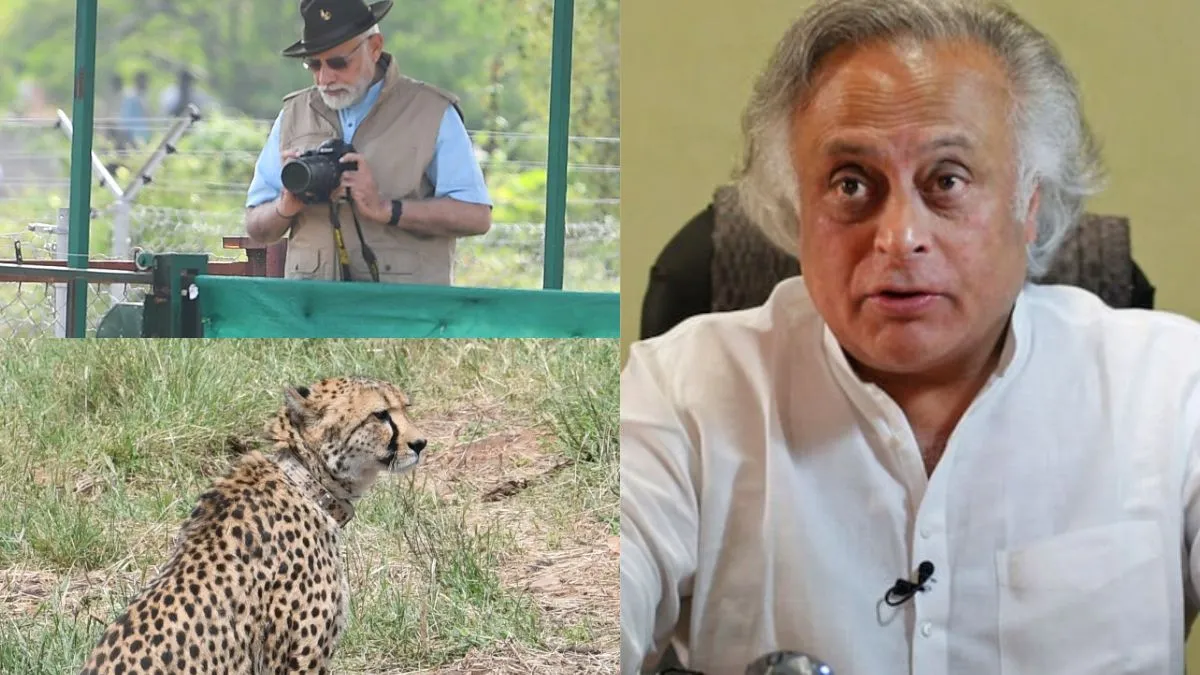 कांग्रेस नेता रमेश ने चीता पुनर्वास कार्यक्रम को लेकर सरकार की आलोचना की