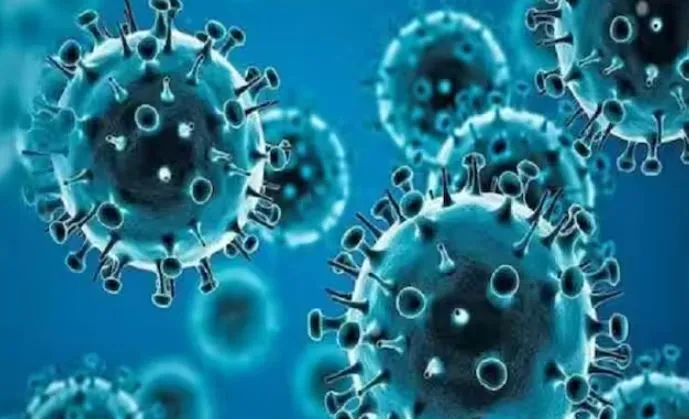 भारत में कोविड-19 बढ़े केस, उपचाराधीन मरीजों की संख्या बढ़कर 1,463 हुई 
