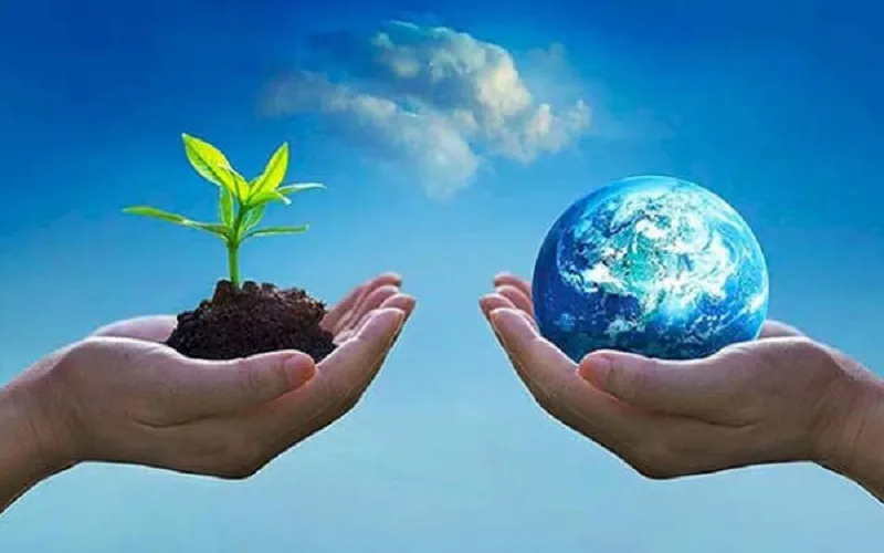 Climate change : क्या समय को समझना जलवायु परिवर्तन के खिलाफ दौड़ की कुंजी हो सकता है?