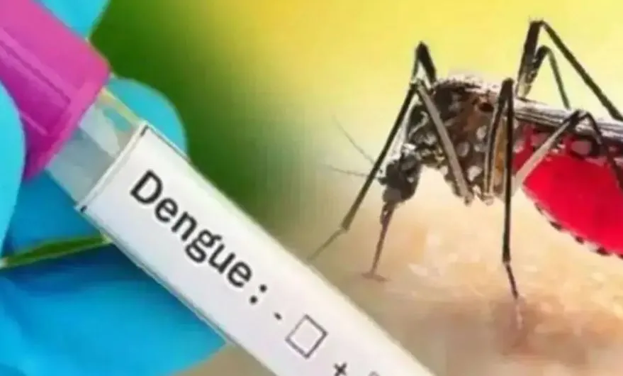 रुद्रपुर: डेंगू को लेकर रुद्रपुर ब्लड बैंक में सभी तैयारियां पूरी