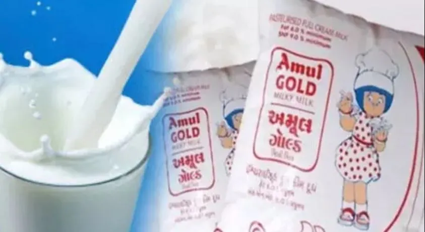 आंध्र के CM ने चित्तूर डेयरी पुनरुद्धार की नींव रखी, अमूल करेगी 385 करोड़ रुपये का निवेश 