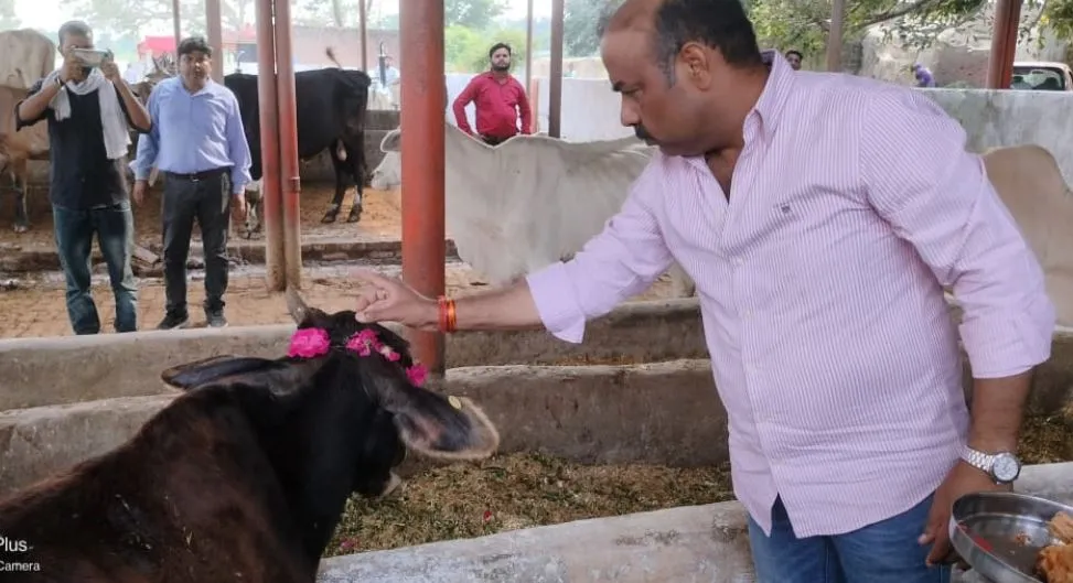 बदायूं: सड़क पर कोई निराश्रित गोवंश नजर नहीं आना चाहिए- देवेंद्र पाण्डेय