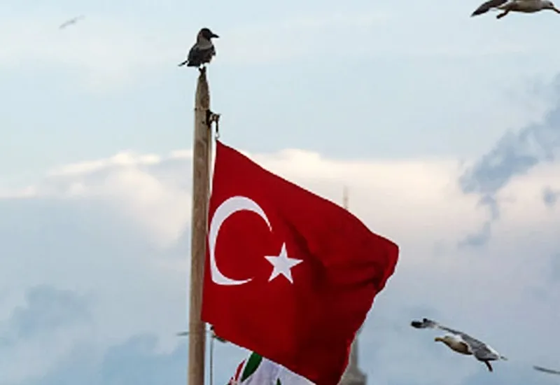 तुर्की में 35 हजार अवैध प्रवासी हिरासत में, 16000 से अधिक निर्वासित 