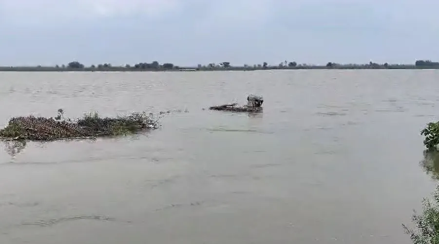 कासगंज: डूबने के कगार पर हैं गांव बरौना के चार स्टड, भयभीत हैं ग्रामीण