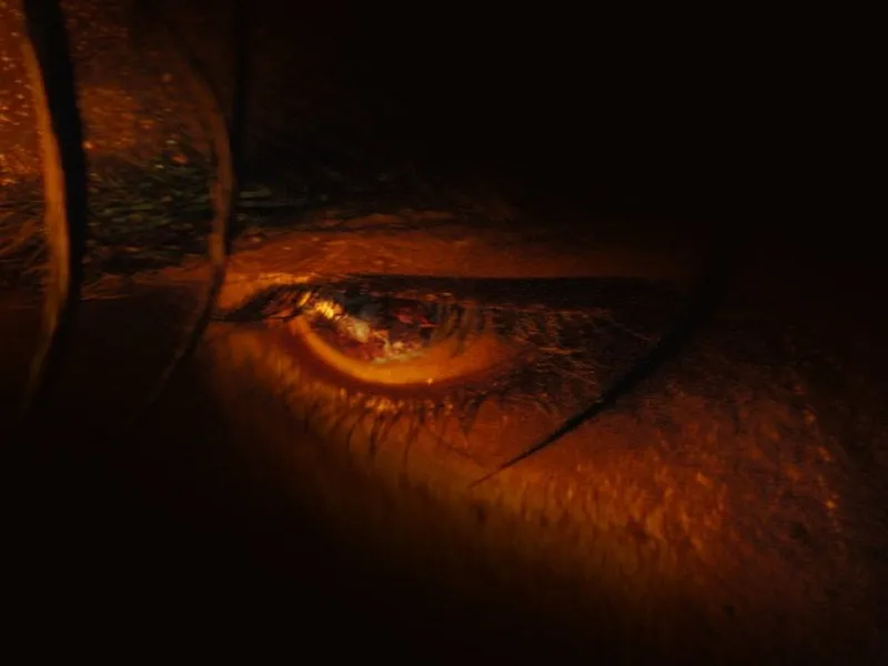 Jawan : 'वो तुम्हें करीब से देख रहा है उससे सावधान रहें', फिल्म जवान से विजय सेतुपति का नया लुक रिलीज 