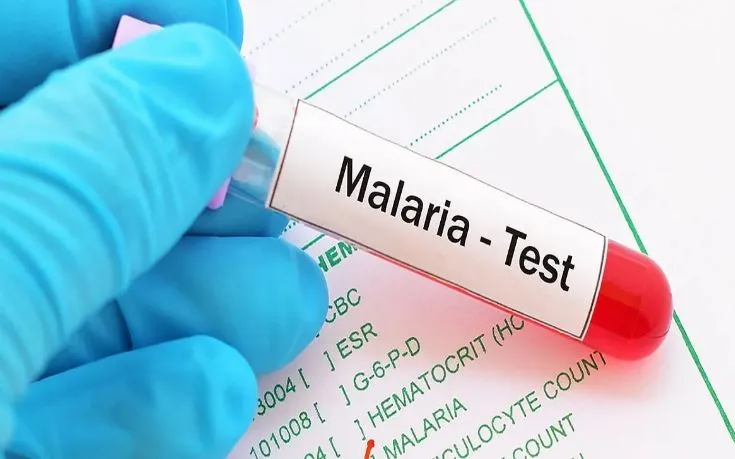 बरेली: ओपीडी में नहीं हो रही मरीजों की मलेरिया जांचें, अब तक 350 आ चुके मामले