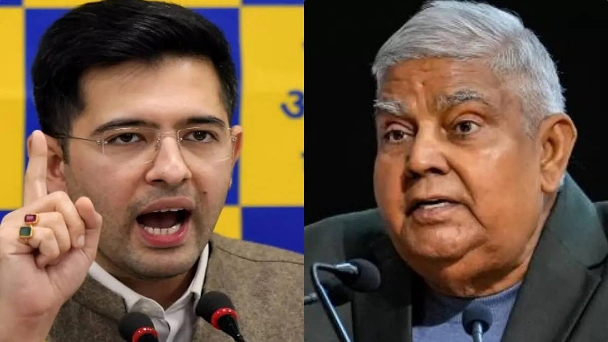 दिल्ली से संबंधित अध्यादेश की जगह लाया जाने वाला विधेयक असंवैधानिक, राघव चड्ढा ने राज्यसभा के सभापति को लिखा पत्र