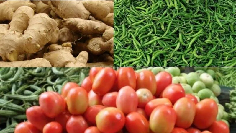 लखनऊ : सब्जियों के दाम ने बिगाड़ा रसोई का बजट, टमाटर के अलावा अदरक, मिर्च और परवल के दाम कर रहे परेशान