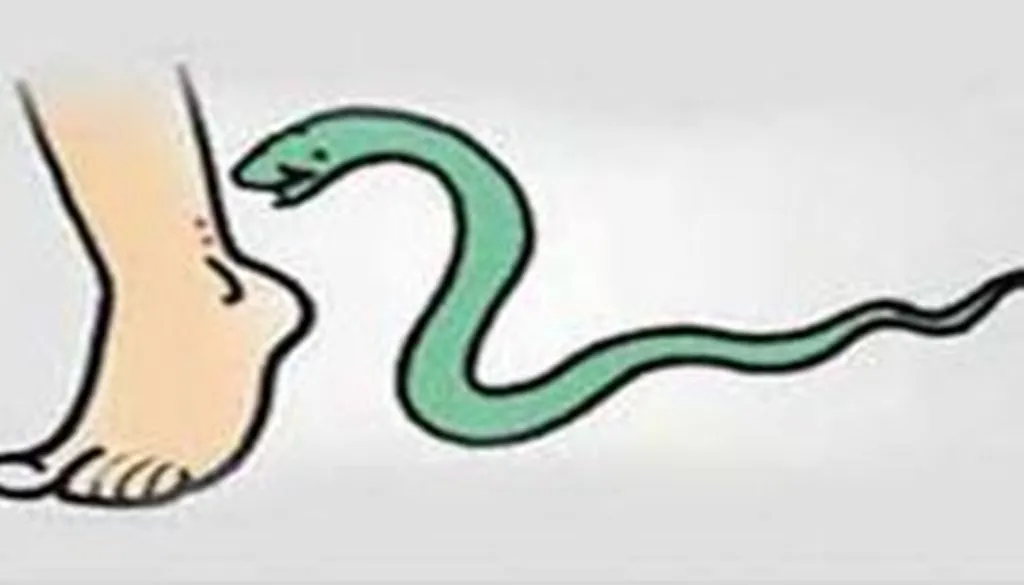 बरेली: बारिश के मौसम में सर्पदंश के मामले बढ़ने पर अलर्ट जारी