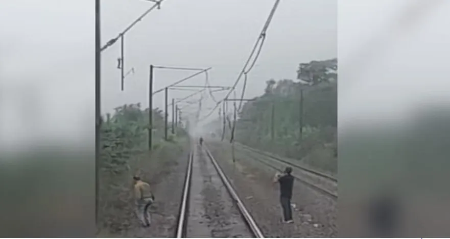 Rajaji Tiger Reserve: ट्रेन की चपेट में आने से गुलदार की दर्दनाक मौत, शरीर के उड़े परखच्चे