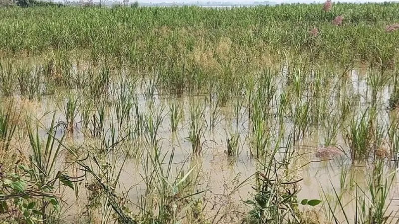 अयोध्या: 33 सेंटीमीटर घटा जलस्तर, 60 फीसदी बढ़ी दुश्वारियां, 35 गांवों में अब फैल रही बीमारियां