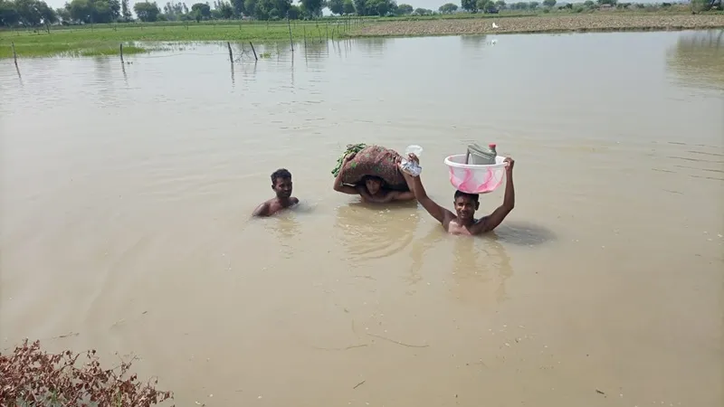 रायबरेली: चेतावनी बिंदु के पार पहुंचा गंगा का जलस्तर, पलायन करने को मजबूर हुए ग्रामीण