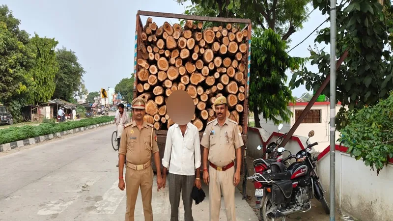 बहराइच: वन विभाग और पुलिस की टीम ने पकड़ी एक डीसीएम सागौन की लकड़ी