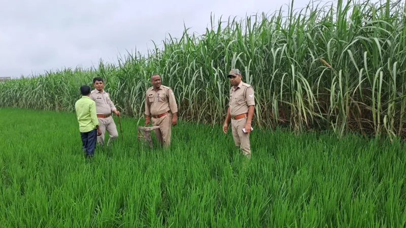 Gonda Crime News : प्रेमी-प्रेमिका की गला घोंटकर हत्या, खेत में फेंका युवक का शव - युवती को अयोध्या में दफनाया