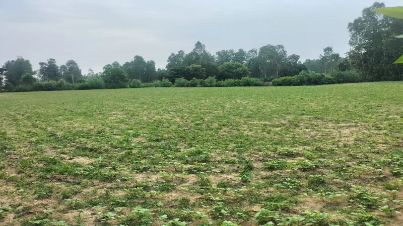 हरदोई में राज्यपाल के नाम पर दर्ज जमीन भू-माफियाओं ने कब्जाई, एक साल पहले हुई थी शिकायत  