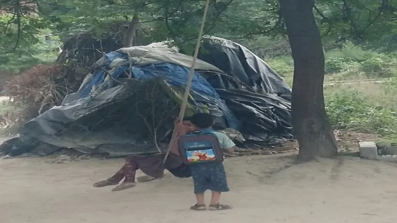 सिर्फ नाम का रह गया सावन, नहीं दिखती झूलों पर खिलखिलाती युवतियों की टोली
