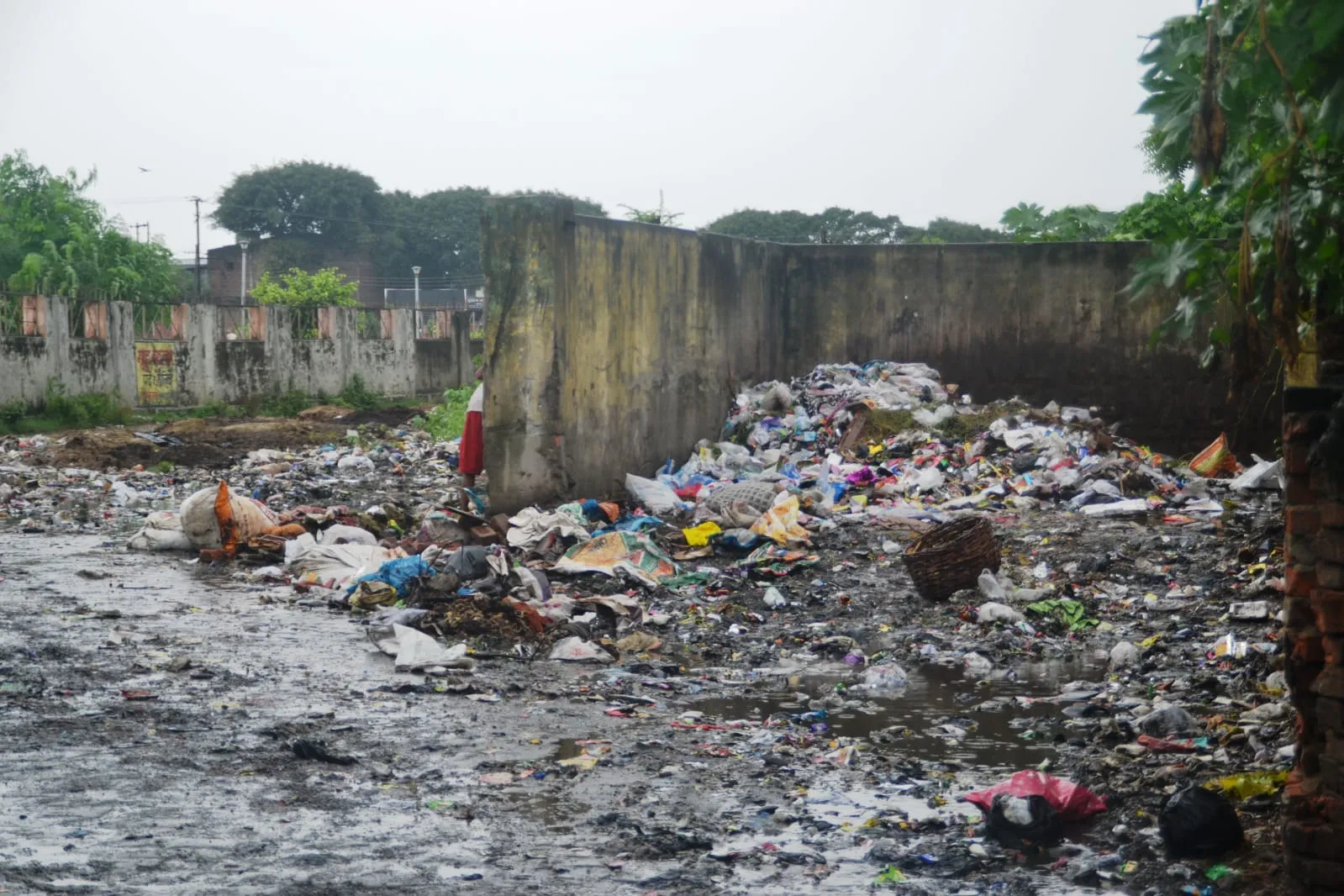 पीलीभीत: स्वच्छता सर्वेक्षण में लेंगे फीडबैक, सुधार पर नहीं ध्यान..जानिए मामला