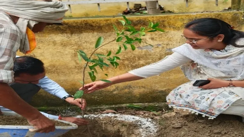 लखनऊ : युवाओं को रोजगार से जोड़ने के लिए शिविर आयोजित, बीडीओ ने रोपा पौधा   