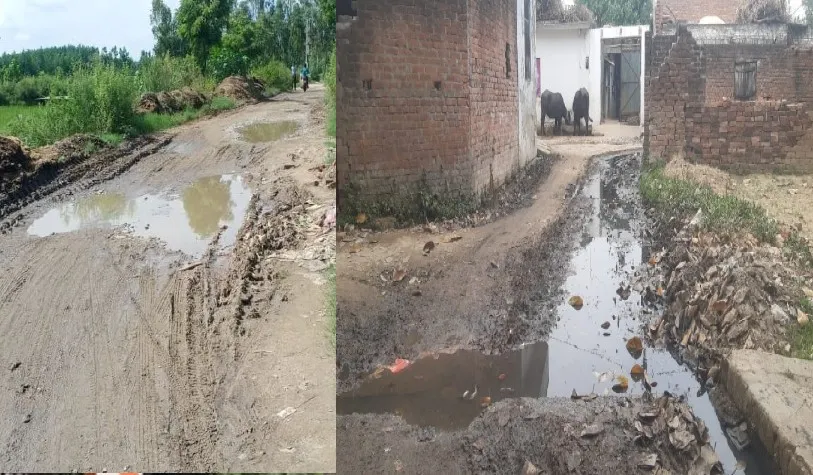 बरेली: कागजों में संचारी रोग पर नियंत्रण...गांवों में मच्छराें के लार्वा के ठिकाने, दम तोड़ रहे सफाई के दावे