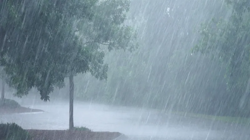 UP Weather : कई जिलों में तेज बारिश की संभावना, बिजली गिरने का अलर्ट जारी 