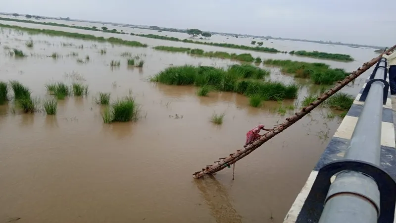 अयोध्या में बाढ़ से ग्रामीणों का पलायन, सैकड़ों एकड़ फसल डूबी