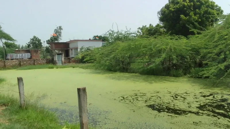 अमेठी : दबंगों पर पानी निकासी का रास्ता रोकने का आरोप, जलभराव से लोग परेशान 