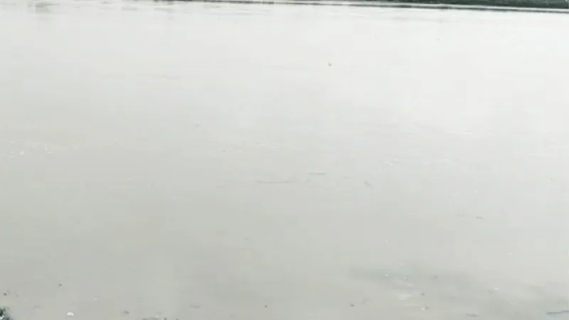 भदोही: गंगा का जलस्तर बढ़ने से किनारे बसे गांवों के लोगों की बढ़ी परेशानी