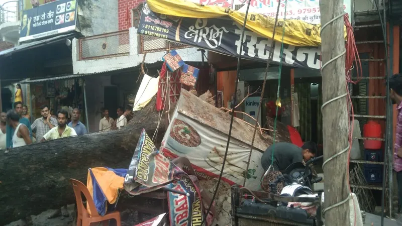 गोंडा : रेस्टोरेंट पर गिरा नीम का पेंड़, बिजली का पोल भी हुआ धराशायी‌