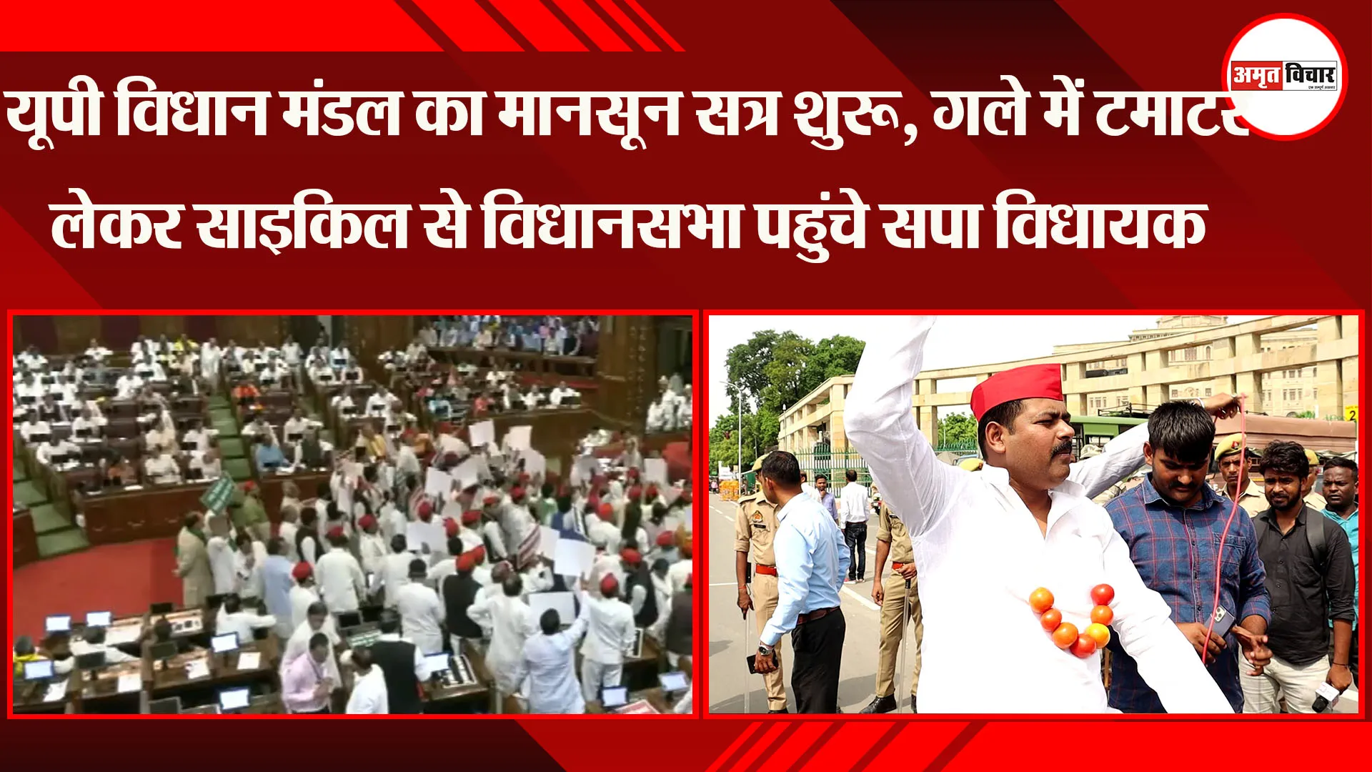 लखनऊ: यूपी विधान मंडल का मानसून सत्र शुरू, गले में टमाटर लेकर साइकिल से विधानसभा पहुंचे सपा विधायक