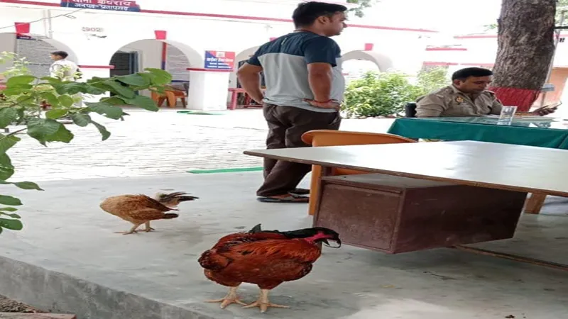 प्रतापगढ़: .. इस थाने में शुभंकर है मुर्गी-मुर्गा, अतिथि की तरह होती है खातिरदारी