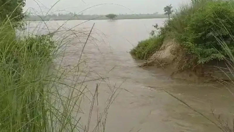रायबरेली: रजबहा कटने से सैकड़ों बीघा धान की फसल जलमग्न, धान की फसल डूबने से चिंता में किसान