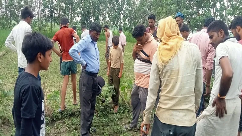 संभल: पैगारफातपुर में जंगली जानवर ने किसान पर किया हमला, कई दिनों से आसपास के गांवों में तेंदुआ होने का शोर...लोगों में दहशत