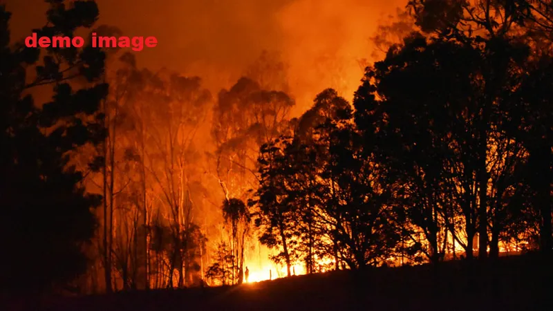 ऑस्ट्रेलिया के जंगलों में आग लगने का अधिक ख़तरा, एएफएसी ने वसंत ऋतु आने पर दी चेतावनी 