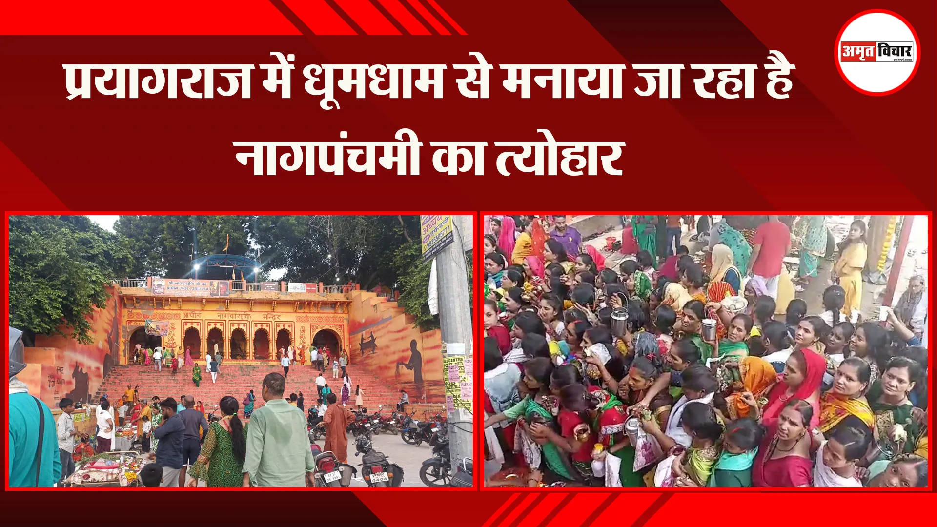 प्रयागराज में धूमधाम से मनाया जा रहा है नागपंचमी का त्योहार