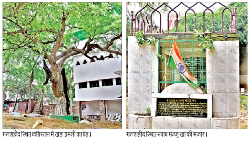 मुरादाबाद : क्रांतिकारियों के शौर्य-पराक्रम का गवाह है इमली का पेड़, जानें...