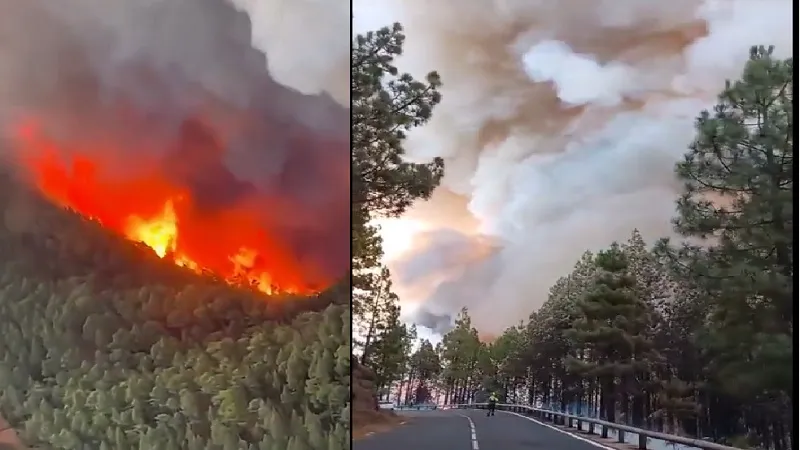 स्पेन के जंगल में लगी आग, 12,813 हेक्टेयर से अधिक भूमि प्रभावित 