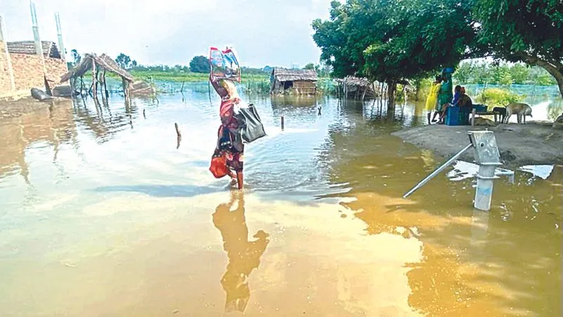 Flood In Kanpur : गंगा चेतावनी बिंदु पार, कटरी के गांवों में घुसा पानी, आज जलस्तर और बढ़ेगा, ये है मौजूदा स्थिति