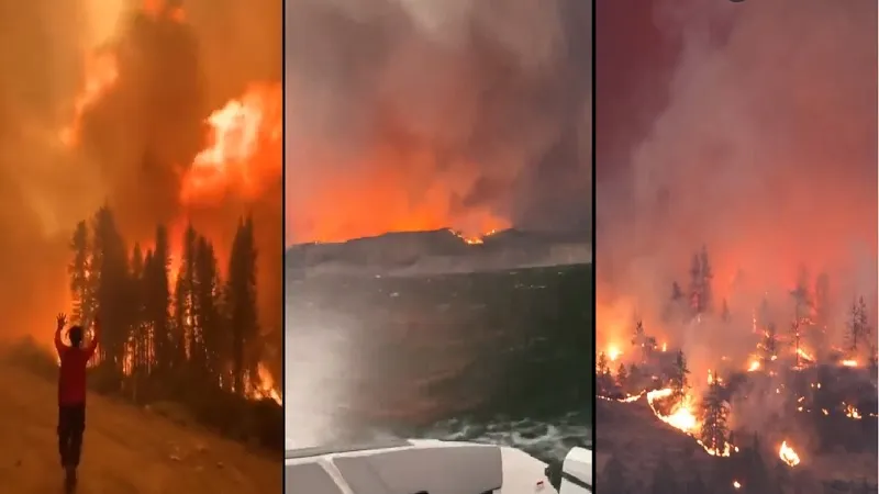 कनाडा में जंगल की आग से 27 हजार से अधिक लोग प्रभावित, देश के इतिहास में सबसे भीषण आग