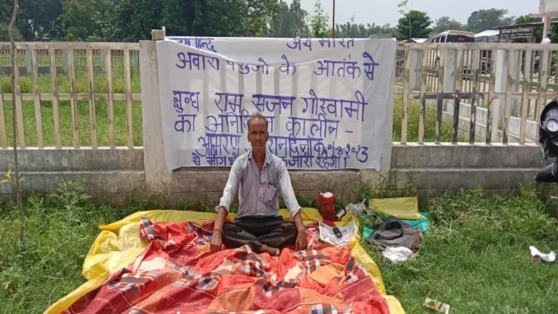 बहराइच: छुट्टा मवेशियों से परेशान ग्रामीण अनशन पर बैठा, तहसील प्रशासन में मचा हड़कंप